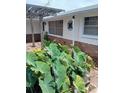 Exterior shot of the home with brick and stucco facade with a trellis and large green plants at 9516 Glen Moor Ln, Port Richey, FL 34668