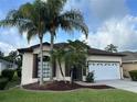 Attractive single-story home with palm trees, a two-car garage, and a well-kept lawn at 11520 Lounds Ct, New Port Richey, FL 34654