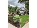 Beautifully landscaped front yard featuring palm trees and lush greenery at 2880 Chelsea N Pl, Clearwater, FL 33759