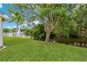 Lush backyard view overlooking a serene pond with a fountain feature and mature trees at 4125 Mc Clung Dr, New Port Richey, FL 34653