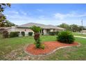 Well maintained lawn featuring decorative beds with mature plants and lush green grass at 8283 Shoup St, Spring Hill, FL 34606