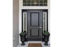 A welcoming black front door is flanked by decorative planters, creating a charming entry at 11042 Heth Ct, Weeki Wachee, FL 34613