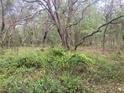 Lush land with mature trees and native vegetation, ideal for building a private estate or nature preserve at 12643 Placid Rd, Hudson, FL 34667