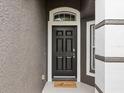 A welcoming front entrance featuring a classic black door with sidelights at 18916 New Passage Blvd, Land O Lakes, FL 34638