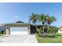 Charming single-story home featuring a lush lawn, mature palm trees, and an attached two-car garage at 3140 Jackson Dr, Holiday, FL 34691