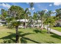 Inviting single-story home with a lush green lawn, swaying palm trees, and a cozy seating area in the front yard at 1830 Santa Barbara Dr, Dunedin, FL 34698