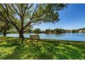Peaceful lake view with mature tree and shaded bench at 3841 Lanyard Ct # B, New Port Richey, FL 34652
