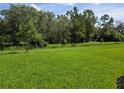 Beautiful backyard with a well-maintained lawn surrounded by lush greenery and mature trees at 14429 Maiden Ter, Lakewood Ranch, FL 34211