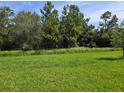 Large grassy backyard with mature trees in the background of the property at 14437 Maiden Ter, Lakewood Ranch, FL 34211