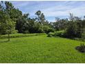 Expansive backyard lawn bordered by lush trees at 14441 Maiden Ter, Lakewood Ranch, FL 34211