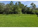 Lush green lawn surrounded by a variety of trees and vegetation at 14441 Maiden Ter, Lakewood Ranch, FL 34211
