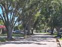 A tree lined street showing multiple homes, cars, and beautiful foliage at 4420 Sawgrass Blvd, New Port Richey, FL 34653