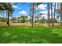 Expansive, well-manicured front lawn surrounded by mature trees, offering a serene and inviting landscape at 7423 Woodhollow Rd, Spring Hill, FL 34606