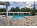 A serene pool surrounded by lush greenery and a tiled deck, creating a private backyard oasis at 9704 Milano Dr, Trinity, FL 34655