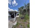 Side yard showing the home's exterior, an overgrown lawn and a large palm tree at 34767 Evergreen Way, Ridge Manor, FL 33523
