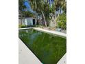 View of the rectangular pool with dark green water requiring maintenance at 750 Lantana Ave, Clearwater, FL 33767