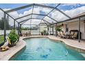 Backyard pool featuring a brick surround and full screen enclosure at 10435 Peppergrass Ct, Trinity, FL 34655