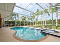 Enjoy a large, screened in private pool and spa surrounded by lush landscaping and tall palm trees at 1831 Cardamon Dr, Trinity, FL 34655