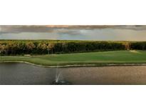 Peaceful landscape featuring a golf course and lake at 2333 Feather Sound Dr # B407, Clearwater, FL 33762