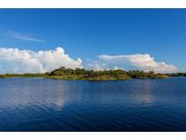 Serene waterfront view with lush vegetation and blue sky at 5730 Braden River Rd, Bradenton, FL 34203