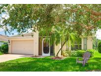 Charming home with a well-manicured lawn and a beautiful, mature tree providing ample shade at 9861 50Th Street E Cir, Parrish, FL 34219