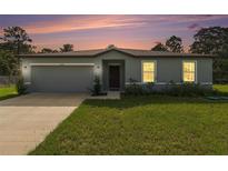 Newly built home with gray siding, a two-car garage, and a well-maintained lawn at 16125 Magpie Rd, Weeki Wachee, FL 34614