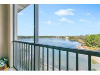 Spacious balcony overlooking a lake with beautiful view at 7612 Lake Vista Ct # 405, Lakewood Ranch, FL 34202
