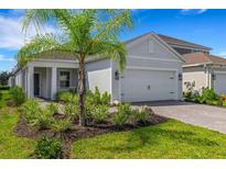 Charming single-Gathering home with a well-manicured lawn and lush landscaping at 10109 Spruce River Way, Parrish, FL 34219