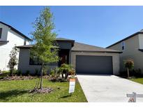 Attractive single-story home showcasing modern architecture, a well-manicured lawn, and a gray two-car garage at 11718 Capstan Pl, Parrish, FL 34219