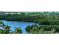 Scenic waterfront view with lush mangrove trees and calm waters at 393 N Point Rd # 603, Osprey, FL 34229