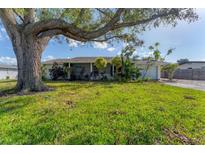 Single story home with large tree and well-maintained lawn at 2420 Sunnyside St, Sarasota, FL 34239