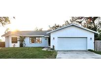 Charming light blue house with a white-trimmed roof and a two-car garage at 1017 Waterside St, Port Charlotte, FL 33952