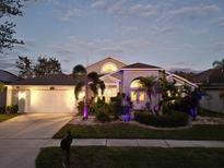 Attractive single-story home with landscaped yard and nighttime lighting at 18129 Sweet Jasmine Dr, Tampa, FL 33647