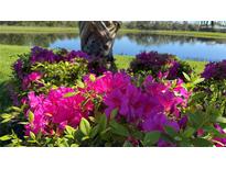 Beautiful landscaping featuring bright pink flowers and lush green foliage near a serene pond at 5616 107Th E Ter, Parrish, FL 34219