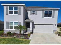 Two-story house featuring a two-car garage and landscaping at 17921 Canopy Pl, Bradenton, FL 34211