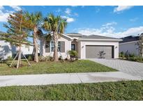 Charming single-Gathering home featuring a two-car garage, well-manicured lawn, and elegant landscaping at 11380 Burgundy Dr, Venice, FL 34293