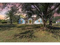 Beautiful home exterior with landscaping and large trees at 21709 Deer Pointe Xing, Bradenton, FL 34202