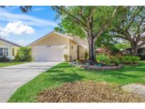 Well-maintained house with a large tree and landscaped yard at 4132 Carriage Cir # 12, Sarasota, FL 34241