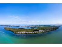 Beautiful aerial view of waterfront homes with lush landscaping and serene bay views at 114 Tidy Island Blvd, Bradenton, FL 34210