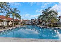 A large community pool with lounge chairs and palm trees in a well maintained garden at 9481 Highland Oak Dr # 310, Tampa, FL 33647