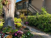 Charming home exterior with colorful landscaping, a large tree, and a walkway leading to the entrance at 1701 Pelican Cove Rd # 359, Sarasota, FL 34231