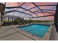 Sparkling screened pool with spa and poolside seating with lake views create a relaxing backyard oasis at 11419 Gallatin Trl, Parrish, FL 34219