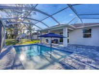 A screened pool with a sun umbrella, chairs, and a paved patio that offers a resort-style experience at 4529 Crowell Ln, North Port, FL 34288