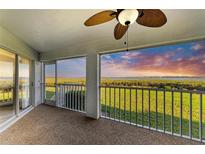 Screened lanai offering a tranquil view of lush green landscape with beautiful sunset at 1153 Edgewater Cir, Bradenton, FL 34209