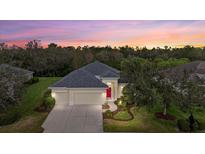 Aerial twilight shot of a well-maintained home with an expansive treeline in the background at 16422 Rivers Reach Blvd, Parrish, FL 34219