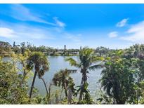 Picturesque lake view featuring palm trees and lush greenery under a bright blue sky at 645 Palmetto Dr, Venice, FL 34293