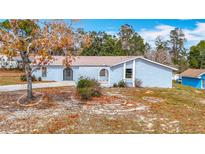 Charming single-story home featuring a well-manicured front yard and inviting entryway at 13365 Drayton Dr, Spring Hill, FL 34609