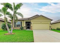 Well-maintained home with a lush lawn, mature palm trees, and a welcoming front entrance with neutral tones at 11015 48Th E St, Parrish, FL 34219