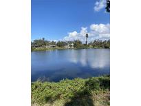 Scenic view of a tranquil lake surrounded by lush trees under a partly cloudy sky at 935 Shasta Rd, Venice, FL 34293