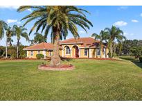 Expansive front yard featuring a well-manicured lawn, mature palm trees, and a charming yellow single-story home at 6107 Glen Abbey Ln, Bradenton, FL 34202